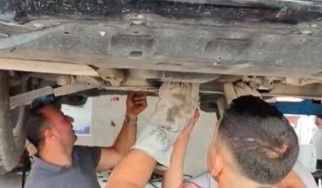 Osmaniye'de otomobilin motoruna sıkışan yavru kedi kurtarıldı