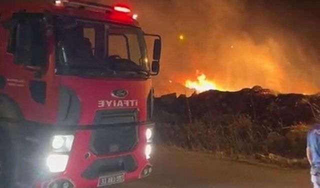 Otluk yangını orman ve itfaiye ekipleri tarafından söndürüldü