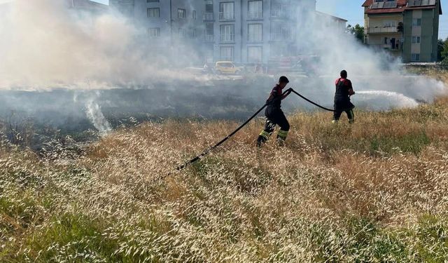 Rüzgarın etkisiyle büyüyen ot yangını evlere ulaşmadan söndürüldü