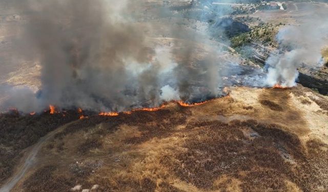 Safranbolu'daki anız yangını kontrol altına alındı