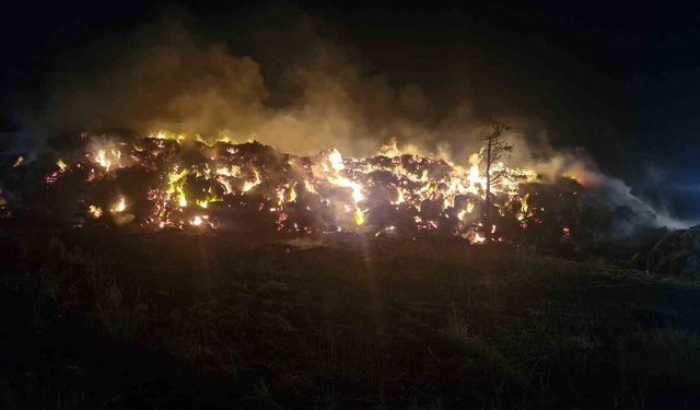 Saman balyaları alevlere teslim oldu: Yaklaşık 2 bin balya kül oldu