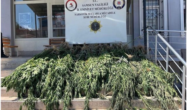 Samsun'da uyuşturucu operasyonu