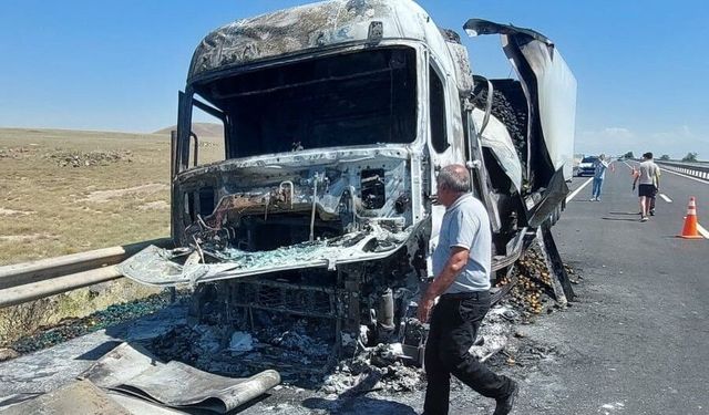 Seyir halindeki sebze yüklü tır yandı