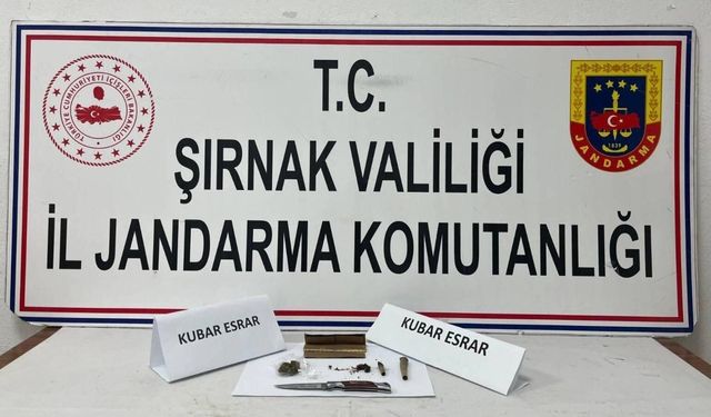 Şırnak'ta 9 milyon liralık kaçak ürün ele geçirildi
