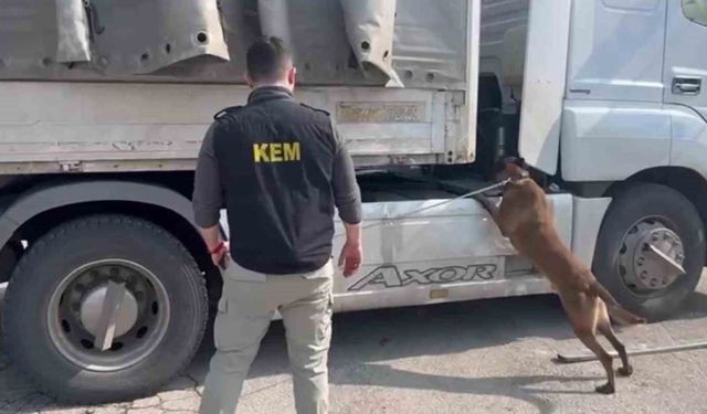 Şırnak'ta zehir tacirlerine ağır darbe: 90 kilo uyuşturucu ele geçirildi