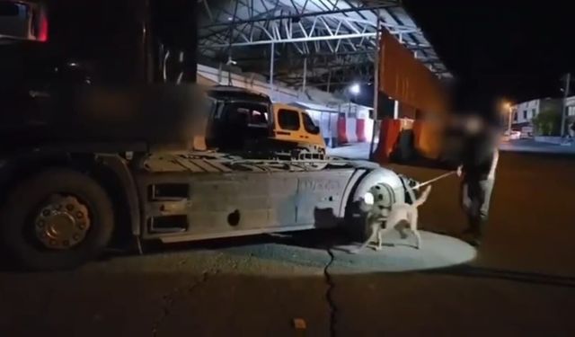Şırnak'ta zehir yüklü tır uygulama noktasında yakalandı