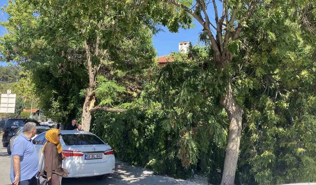 Sivas Valiliği uyarmıştı, rüzgar hasara yol açtı