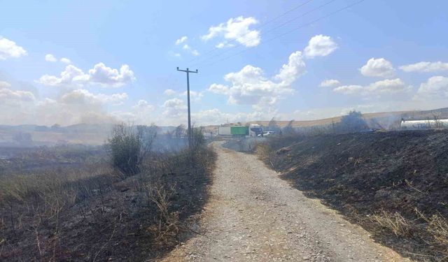 Susurluk'ta korkutan yangın