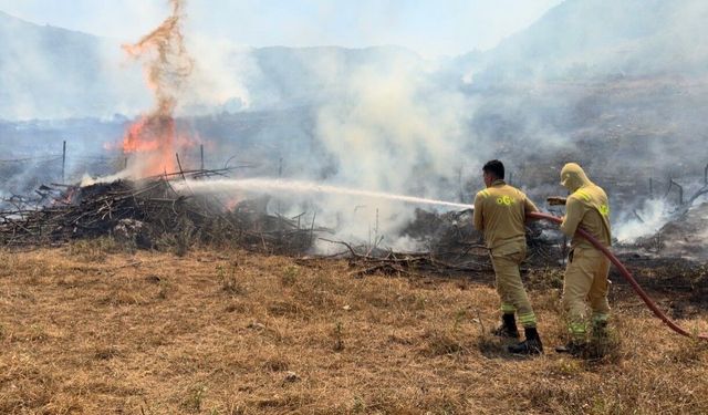 Tarla temizliği için yakılan ateş ormanlık alana sıçradı