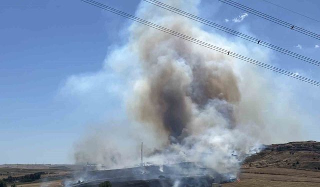 Tekirdağ'da korkutan yangın: 500 dönüm anız alev alev yandı