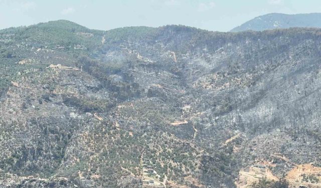 Yeşilden siyaha bürünen alan helikopterden görüntülendi