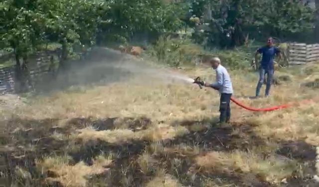 Yüksekova'da anız yangını