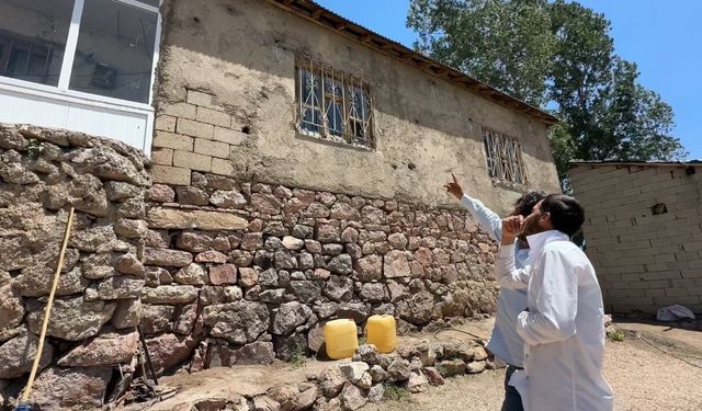 Yüksekova'da yılanlar bir evin kabusu oldu