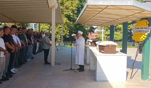 Zonguldak'ta yaşlı çiftin hayatını kaybettiği kazada tır şoförüne adli kontrol