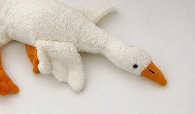 Bu peluş oyuncak boğulma riski taşıyor
