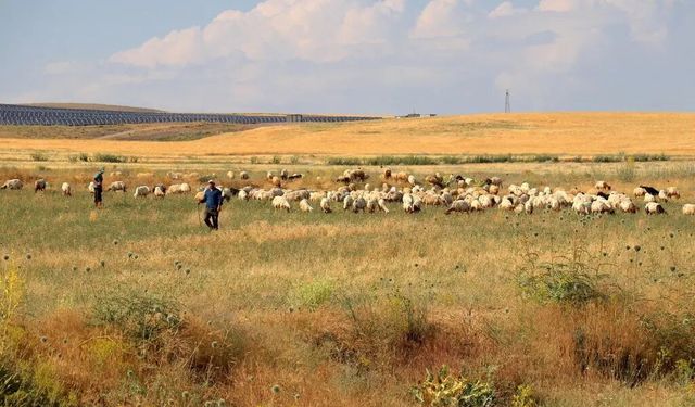 Başta 40'tı, 400'e çıkardı