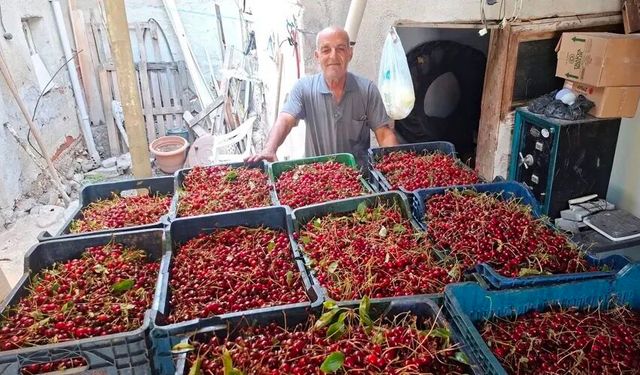 Fiyatı işçi yevmiyesini bile karşılamıyor