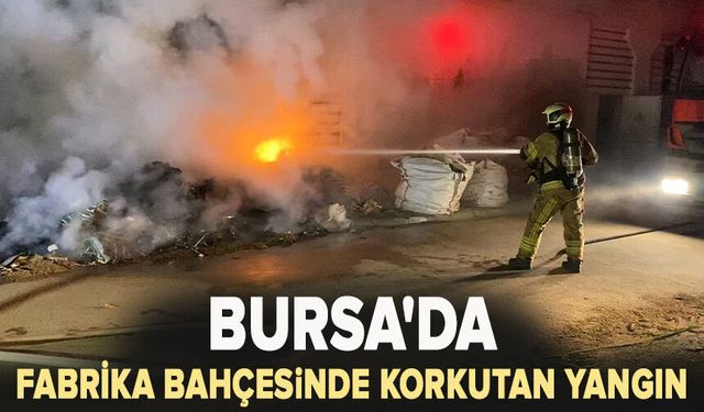 Bursa'da fabrika bahçesinde çıkan yangın korkuttu