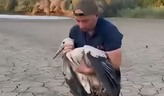 Balçığa saplanan leylek için vatandaş seferber oldu!