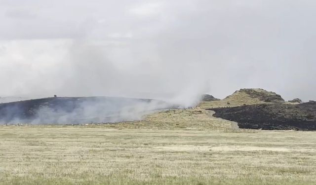 Ahlat-Tatvan yolunda otluk alanda yangın paniği
