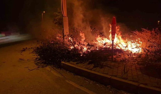 Alaca'da çıkan örtü yangını söndürüldü