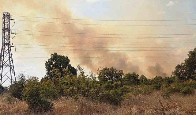 Anız yangını ormana sıçradı, ekipler seferber oldu