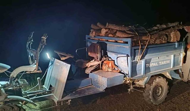 Antakya'da ormanda usulsüz kesim yapan şahıslar yakalandı