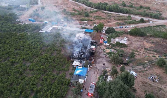 Bursa'da çiftlik alev alev yandı: Olay yeri dron ile görüntülendi