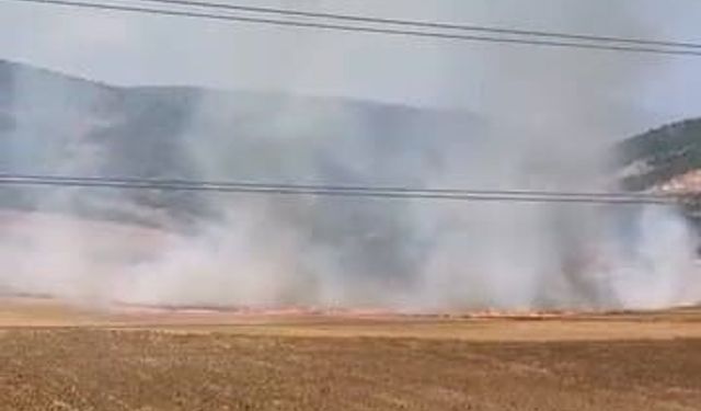 Bursa'da tarlalık alanı ateşe veren şüpheli yakalandı