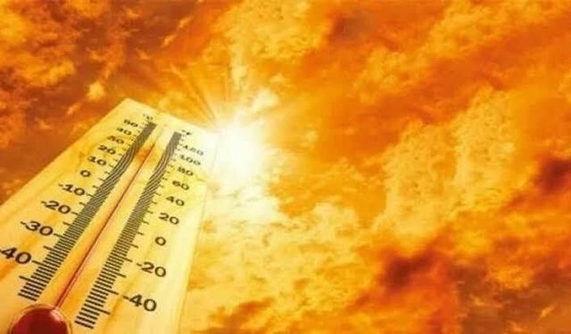 Denizli ve Uşak için kritik orman yangını uyarısı