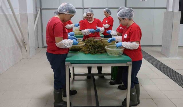 Efeler'in yöresel lezzetleri e-ticaretle Türkiye'ye ulaşıyor