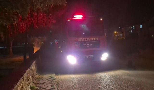 Eskişehir'de bir parkta kasten çıkarılan yangın ekipleri teyakkuza geçirdi