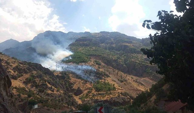 Hakkâri'de orman yangınına giden arazöz Zap Suyu'na uçtu: 3 yaralı