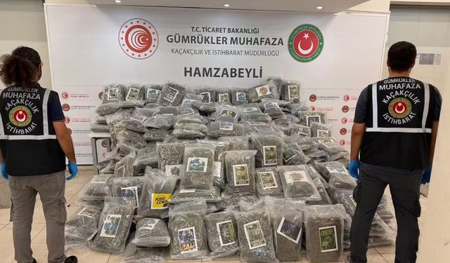 Hamzabeyli'de 287 kilo 910 gram esrar ele geçirildi