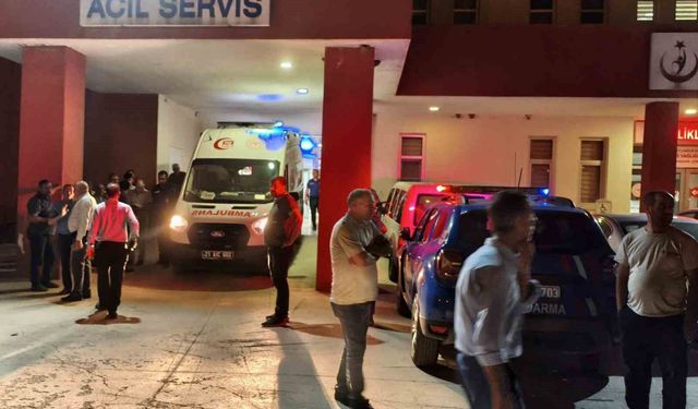 Huysuzlaşan inek sahibini ağır yaraladı
