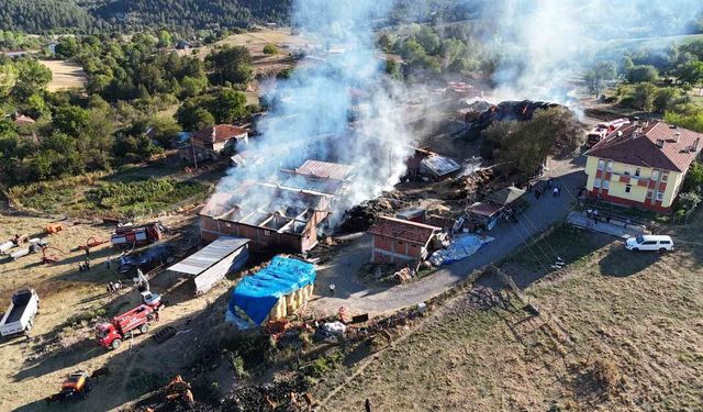 Kastamonu'da 14 büyükbaş hayvanın telef olduğu yangın söndürüldü