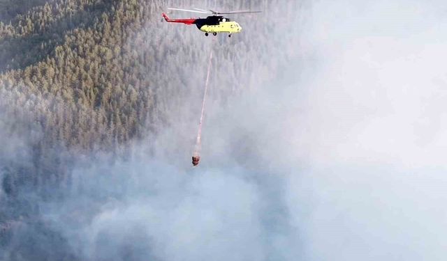 Kastamonu'da çıkan orman yangını kontrol altına alındı