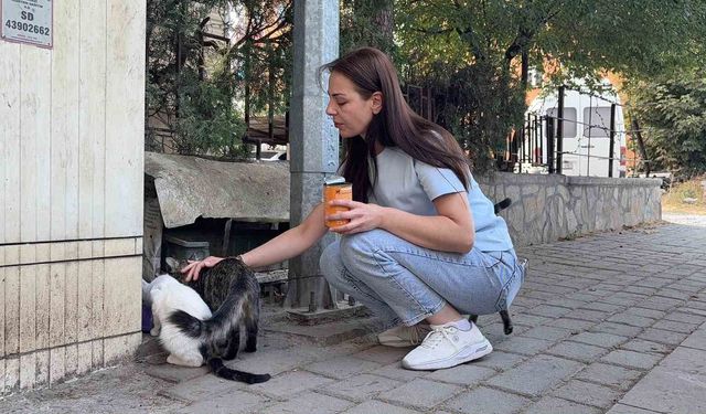 Kütahya'da kan donduran olay! Yıllardır beslediği kediyi vahşice öldürüp kapısına bıraktılar