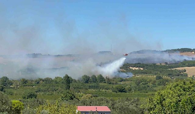 Lapseki'de tarım arazisindeki yangına müdahale devam ediyor