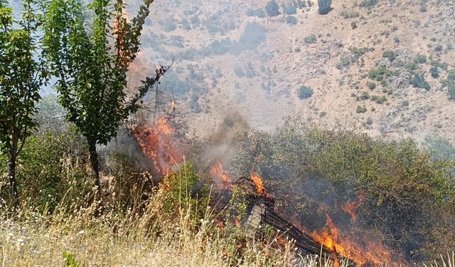 Malatya'da meyve bahçesi ve üzüm bağlarında yangın