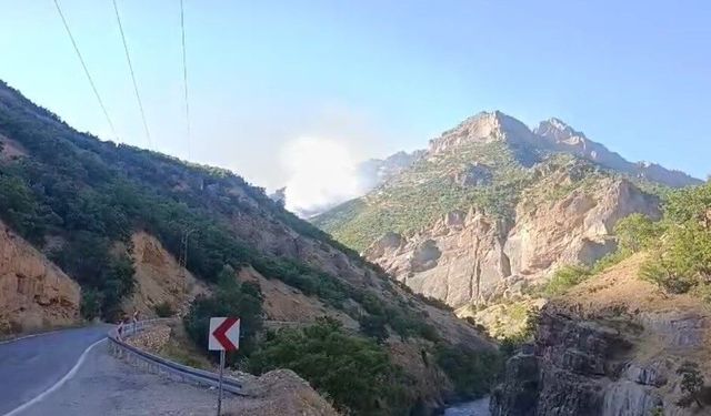 Munzur Vadisi Milli Parkı'nda örtü altı yangınına müdahale sürüyor