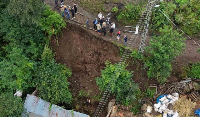 Ordu'da heyelan: Ahırdaki 5 büyükbaş telef oldu
