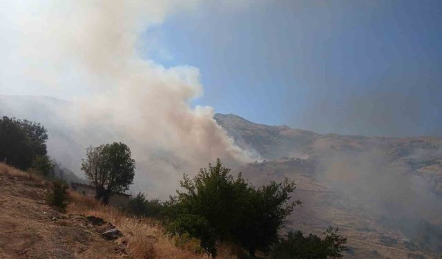 Pütürge'deki arazi yangınına müdahale sürüyor