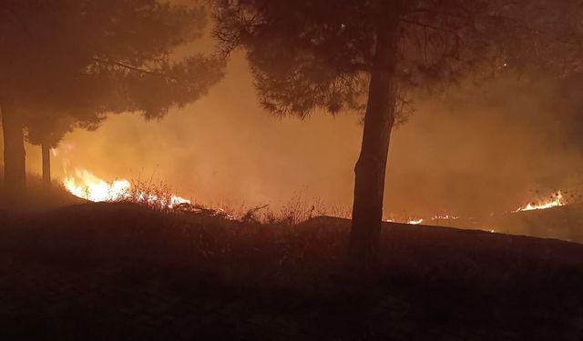 Siirt'te mezarlıkta çıkan yangın itfaiye ekiplerince söndürüldü