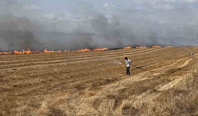 Silivri'de tarla yangınına havadan müdahale ediliyor