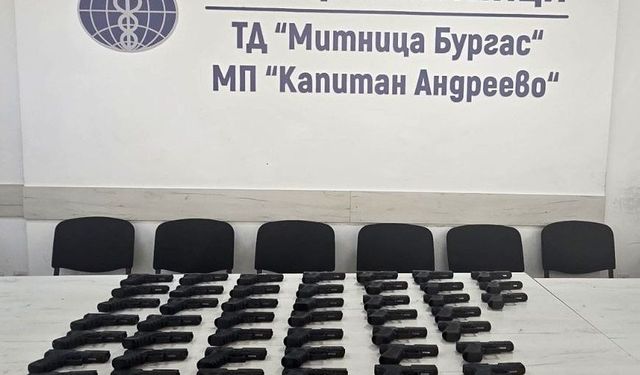 Sınır kapısında incir yüklü tırda 45 adet silah ele geçirildi