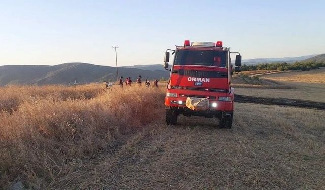 Sinop'ta anız yangını korkuttu