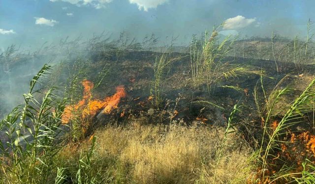 Şırnak'taki örtü ve orman yangını söndürüldü