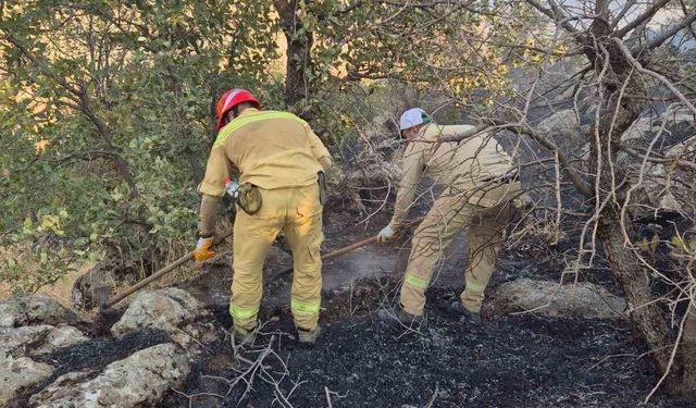 Şirvan'da ormanlık alanda çıkan yangın söndürüldü