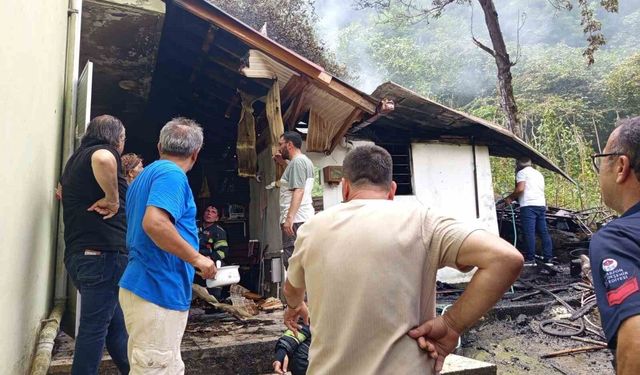 Trabzon'da odunluk yangın: 1 yaralı